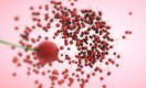 Attractor � ��������� ������� � Cinema 4D