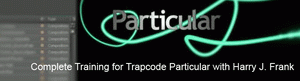 Complete Training for Trapcode Particular with Harry J. Frank