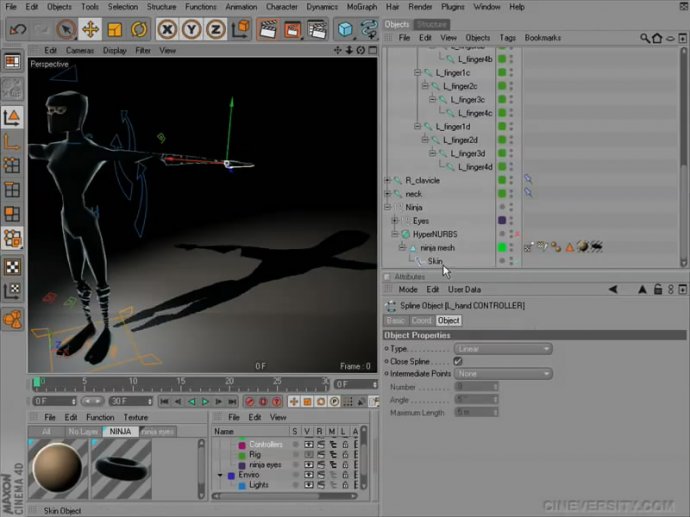 Character Rigging and Constraints