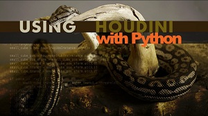 Python и Houdini 11