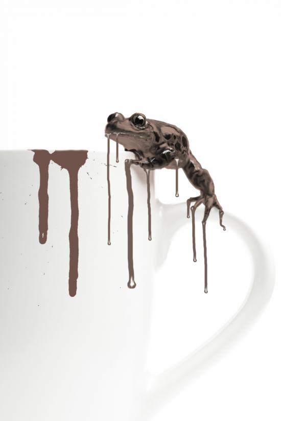 Лягушка в шоколаде