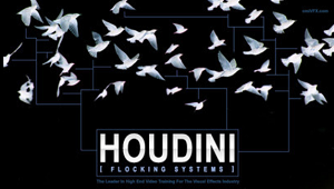 Houdini Flocking Systems