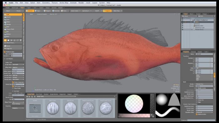 Видео уроки по моделированию рыбы (морского окуня) в Modo 601