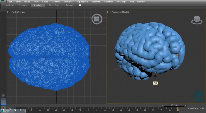 Brain Pattern в 3ds Max