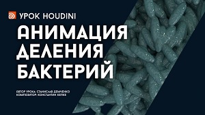 Houdini: Анимация деления бактерий