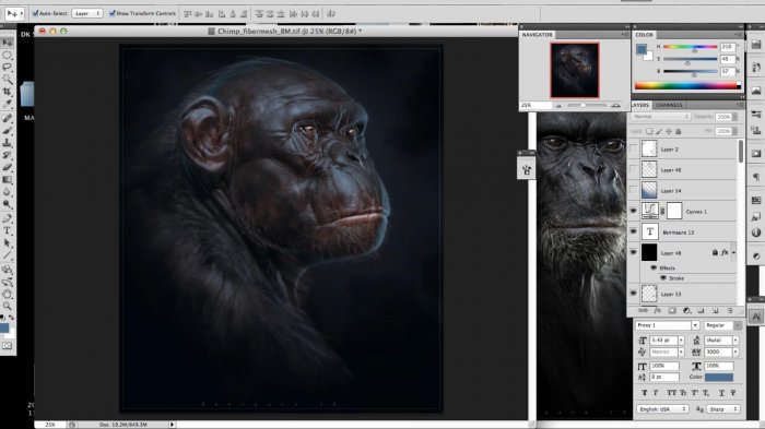 Анатомия примата - скульптинг шимпанзе в Zbrush