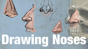 Как рисовать человеческий нос?