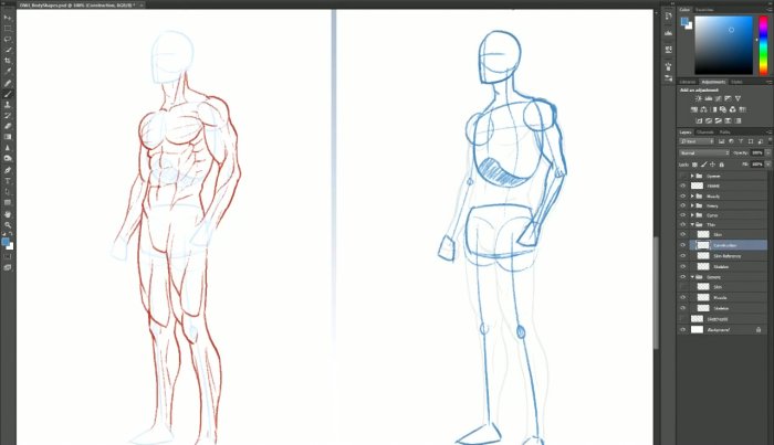 Как рисовать различные типы тела?
