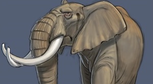 Как нарисовать слона в Photoshop?