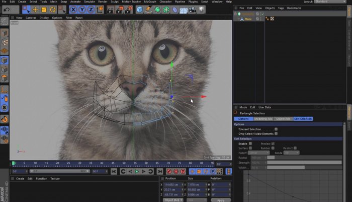 Моделирование кота в Cinema 4D