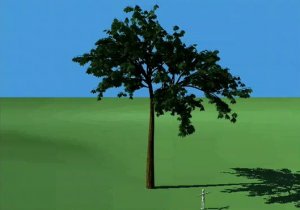 C4D Tree