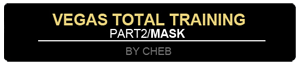 Vegas Total Training: Mask
