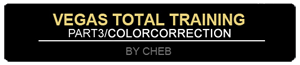 Vegas Total Training: Color Correction