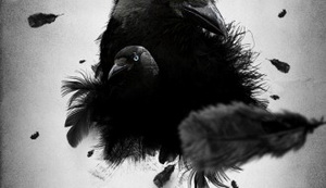 Feathered Crow Illustration