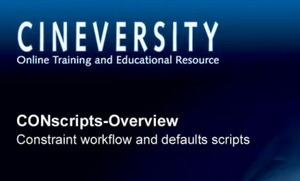 Scripts and Custom Scripting