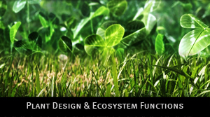 Растительный дизайн и экосистемы во Vue