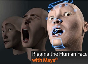 Rigging the Human Face in Maya 2011