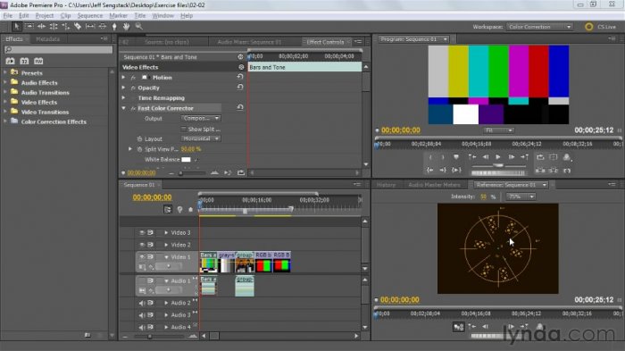 Premiere Pro: Color Correction and Enhancement