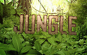 The Jungle / Джунгли