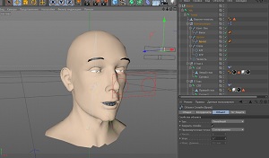 Риггинг лица в Cinema 4D (на русском)
