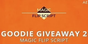 Magic Flip Script для After Effects