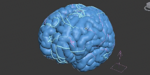 Brain Pattern в 3ds Max