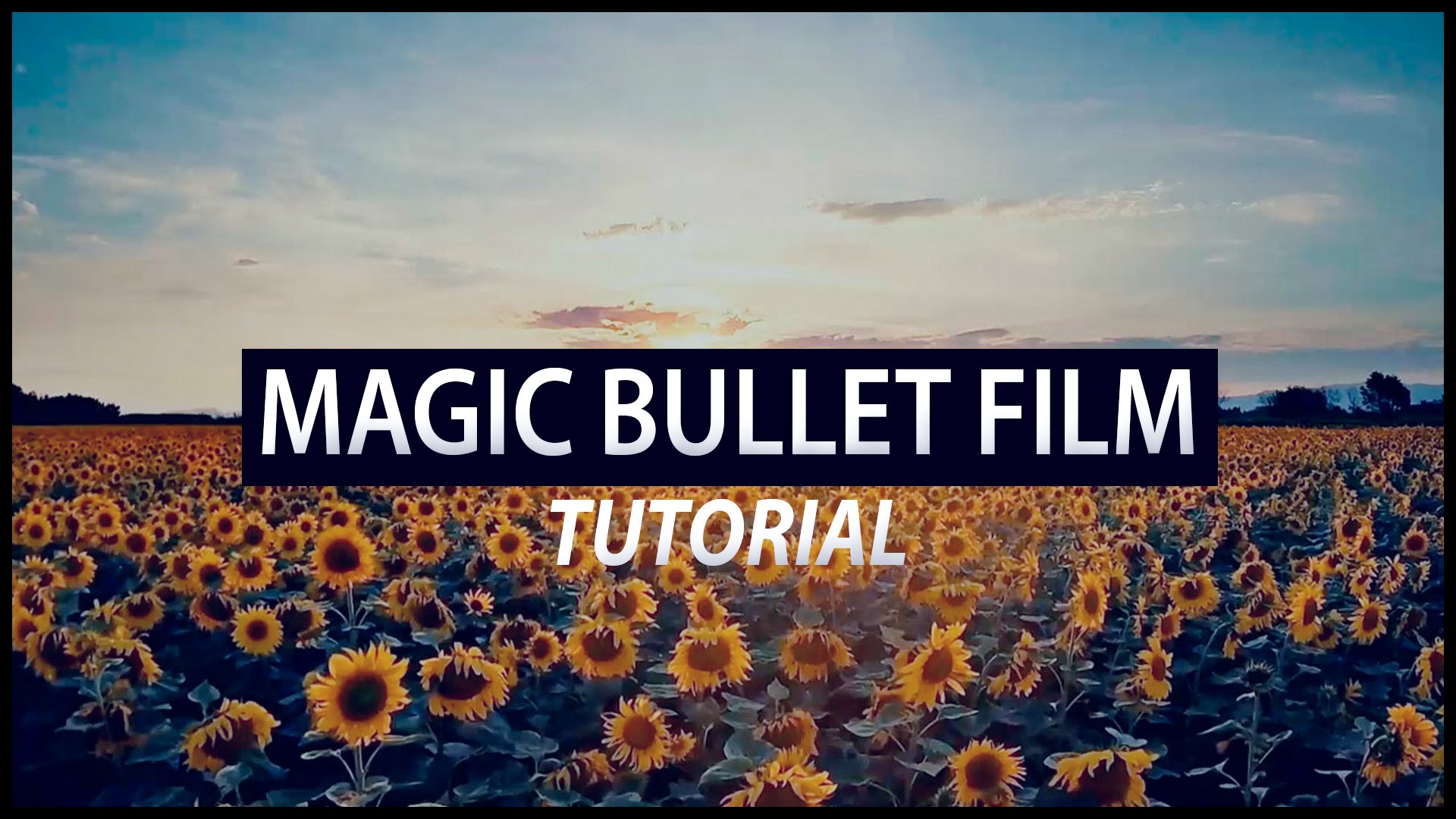 #4 MAGIC BULLET FILM - TUTORIAL (S E R E B R Y &#923; K O V)
