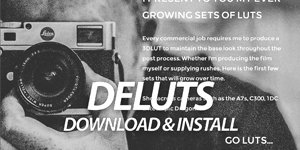 DELUTS - DAVINCI RESOLVE & PREMIERE PRO