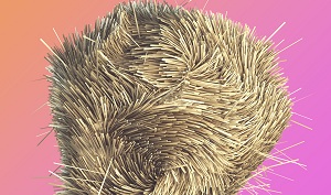 Сложная геометрия с модулем Hair и кистью в Cinema 4D